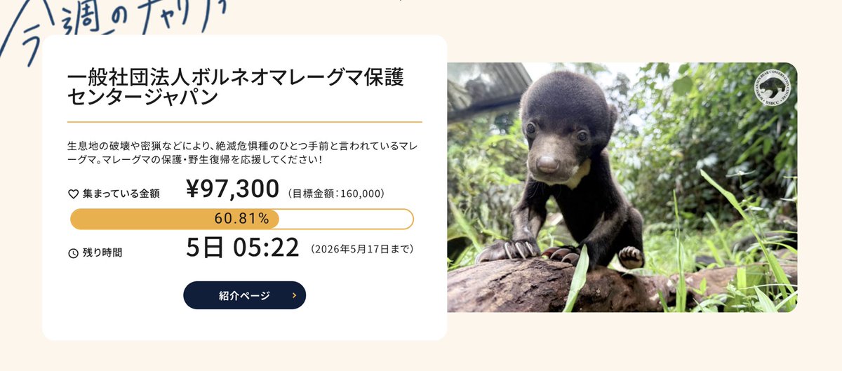 ボルネオマレーグマ保護センタージャパン tweet media