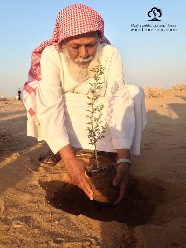 عبدالعزيز عبدالله العقيّل tweet media