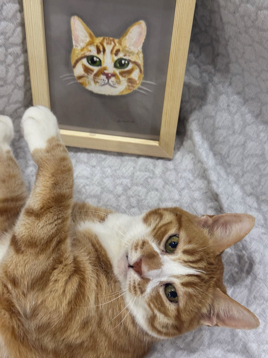 AslihanFe's tweet photo. Arkadaşımın doğum günü için kedisini çizdim 🐱 üstelik portresiyle poz vermişş https://t.co/zzeDcTA6WR