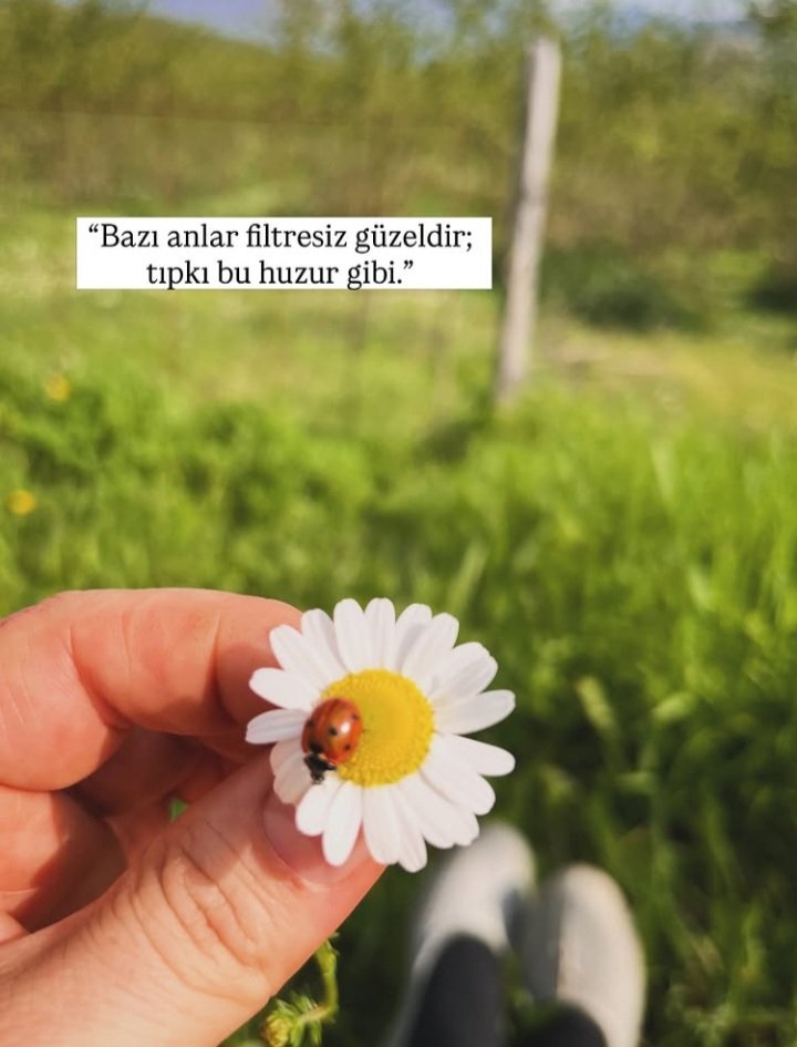 Nevin Bağcı🍂 tweet media