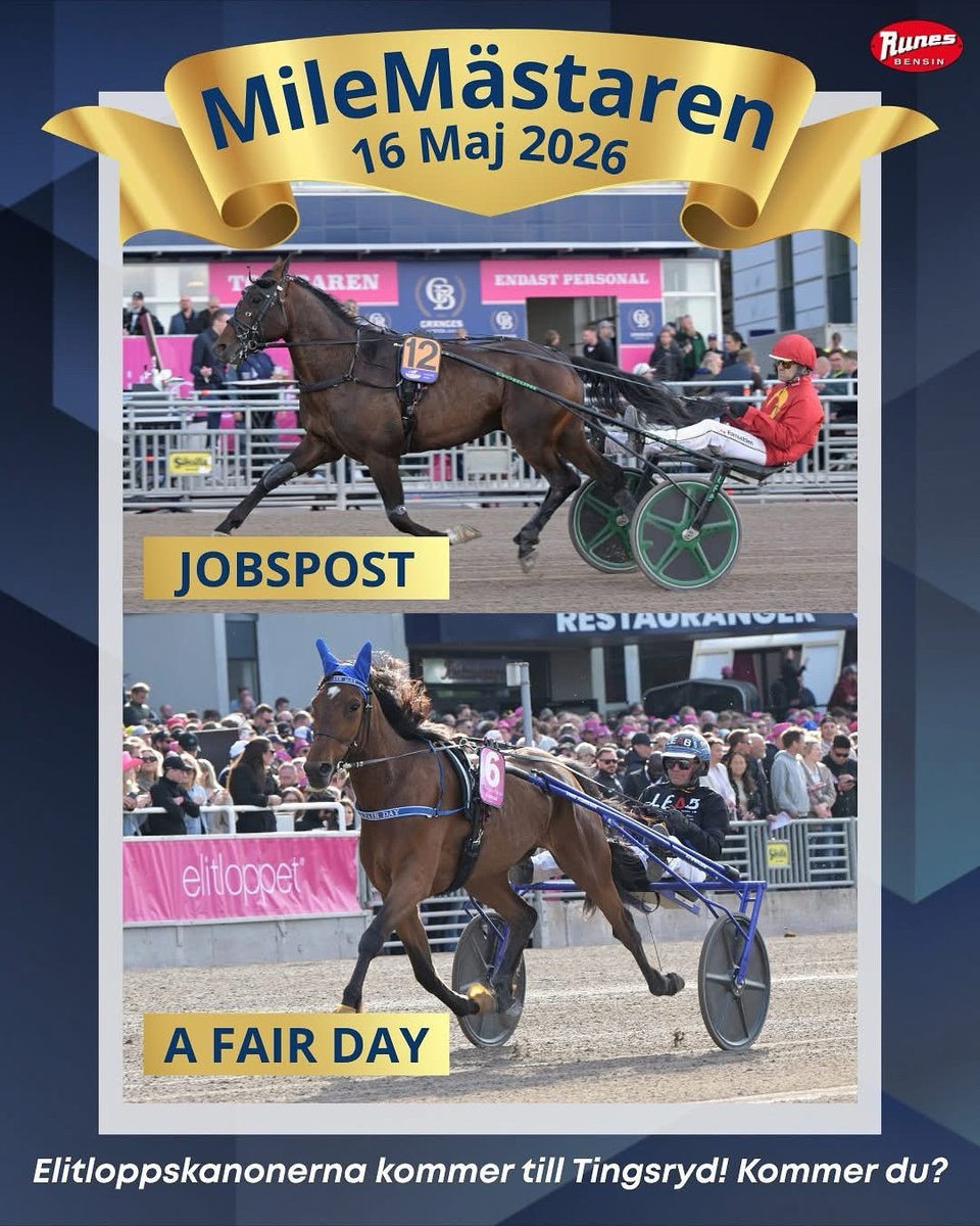 TingsrydTravet tweet media