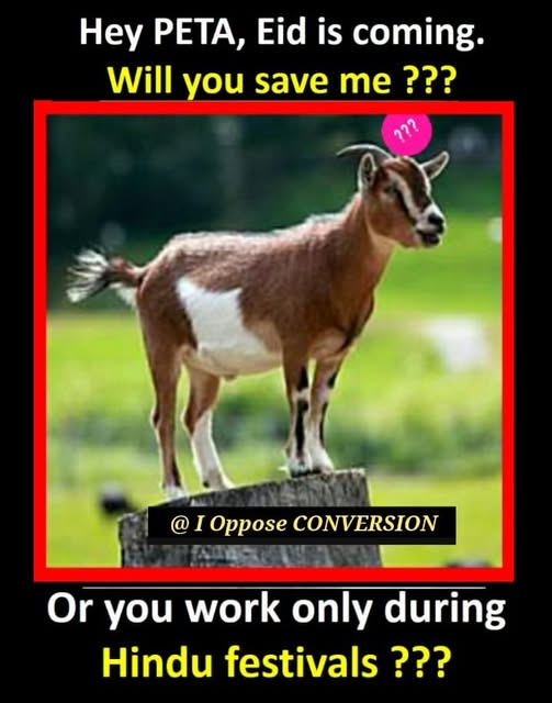 GDaaktti's tweet photo. PETA (People for the Ethical Treatment of Animals) PETA India PETA इंडिया PETA UK #NEET #Vijay‌TNCM #rrvsrcb #WestBengalLegislativeAssemblyelection2026 #saveasharamjiashram #TrophéesUNFP https://t.co/uTJcn5DPtk