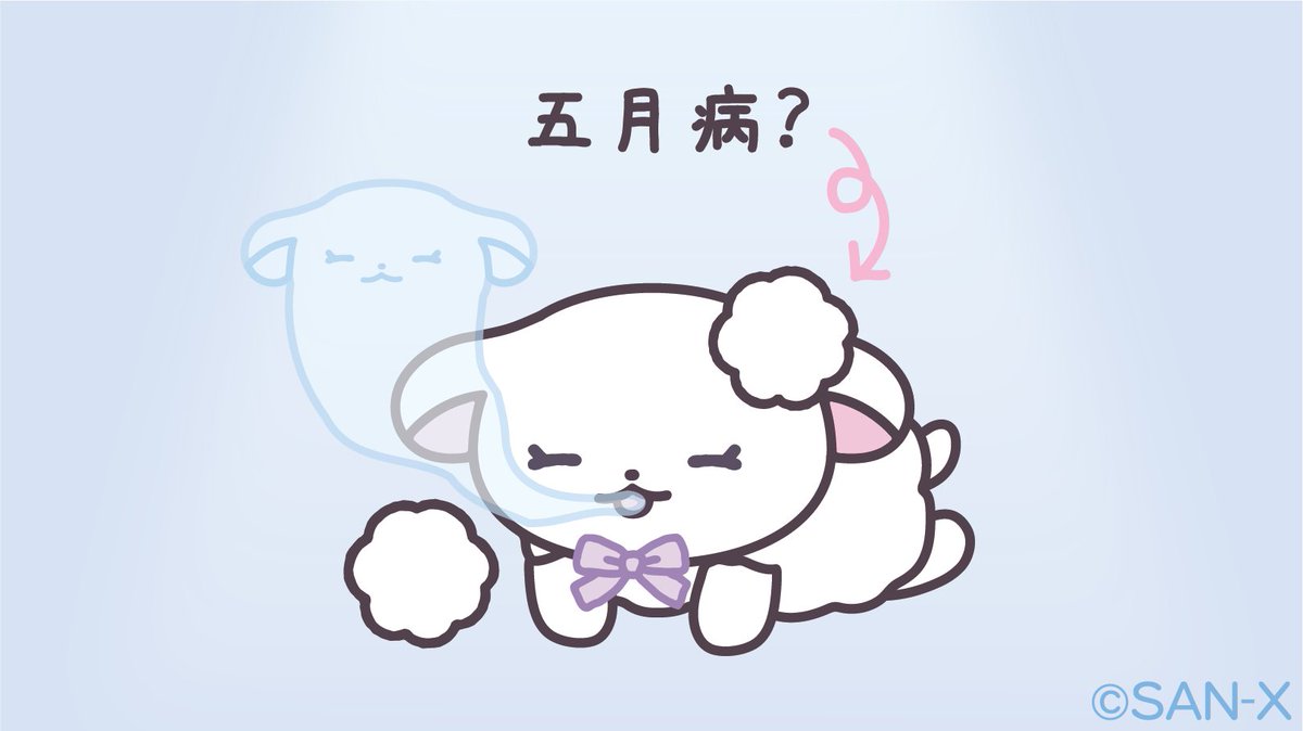 ちあちあラムズ【公式】 tweet media