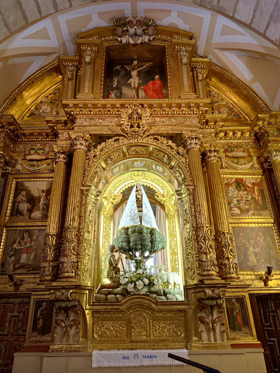 Camparañón tweet media