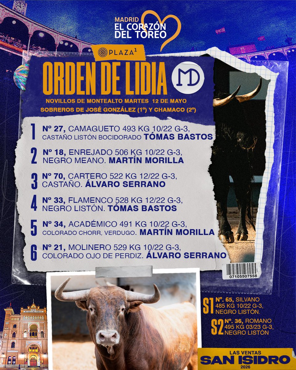 7 TOROS 7 tweet media