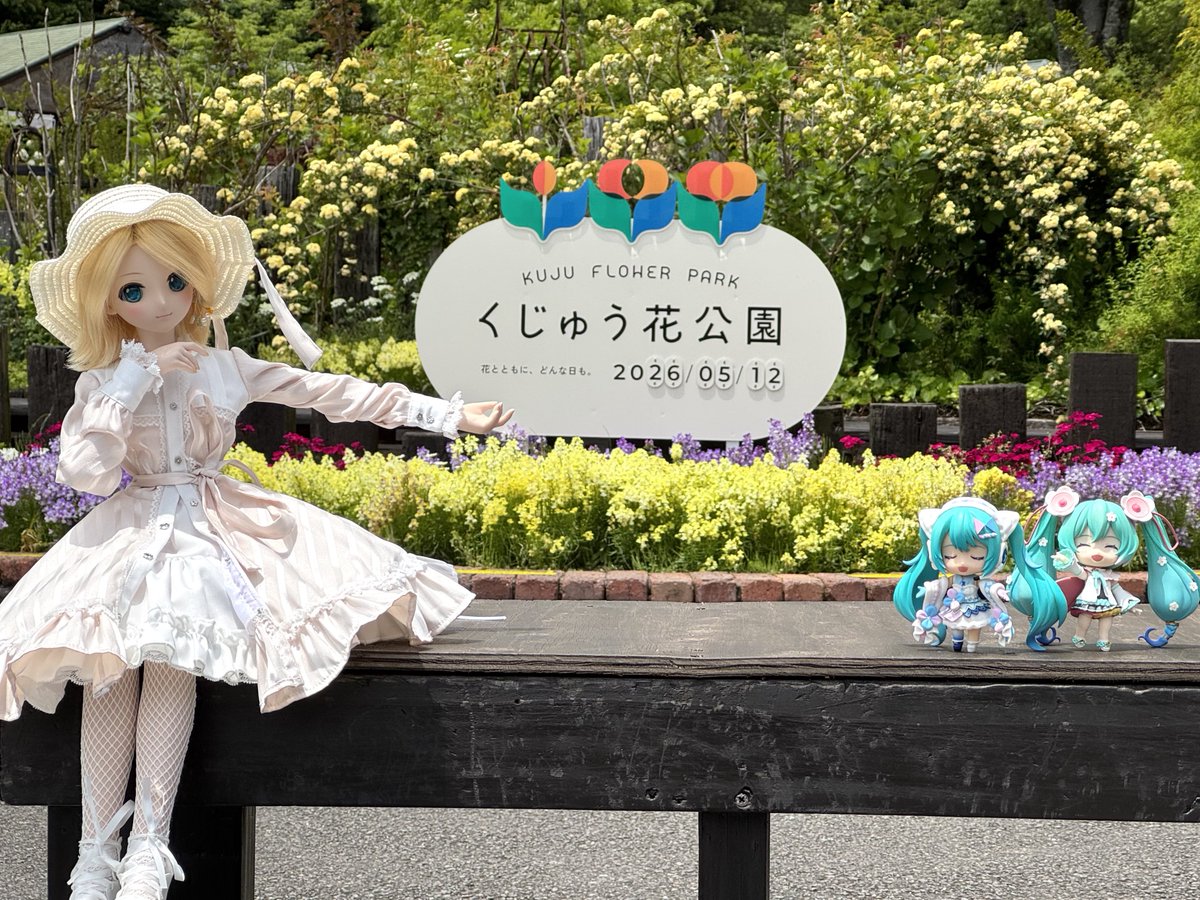 めみん tweet media