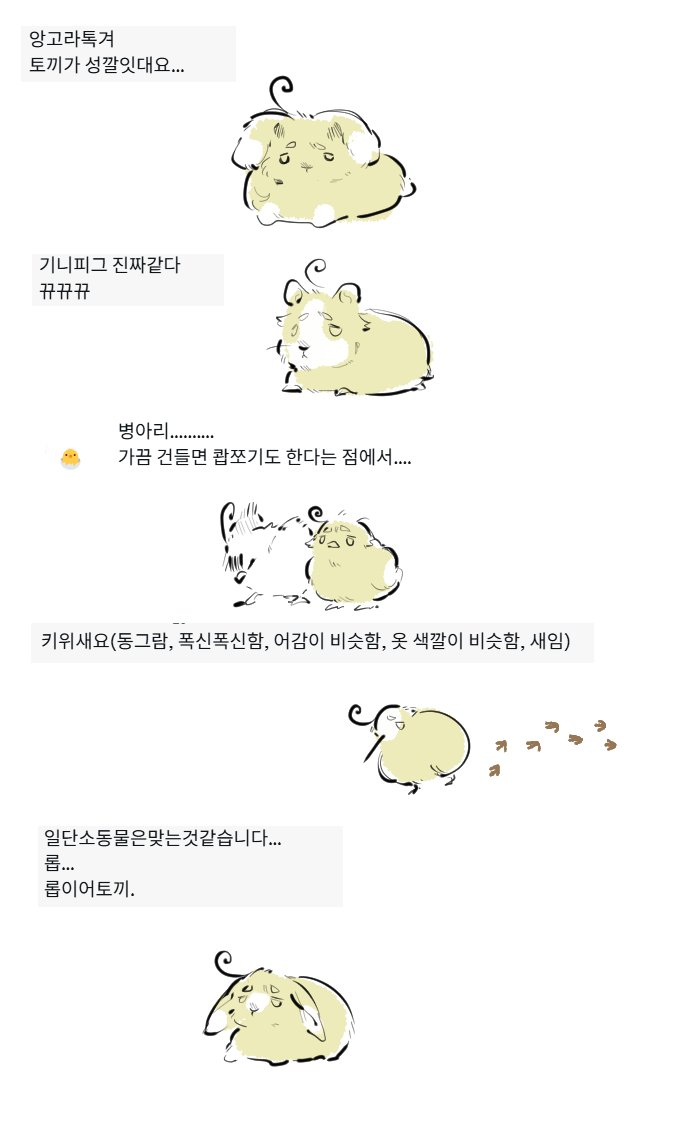 Commuu_Dorobo's tweet photo. 추천 감사합니다
앙고라 아니면 병아리일까ㅠ 생각해요 https://t.co/ciTXVp1AjX