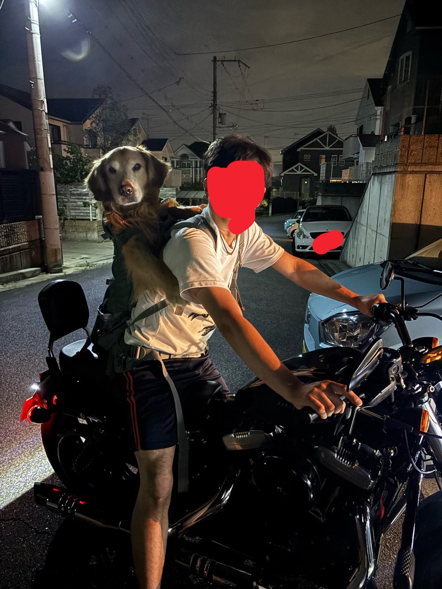らいと🐶 tweet media