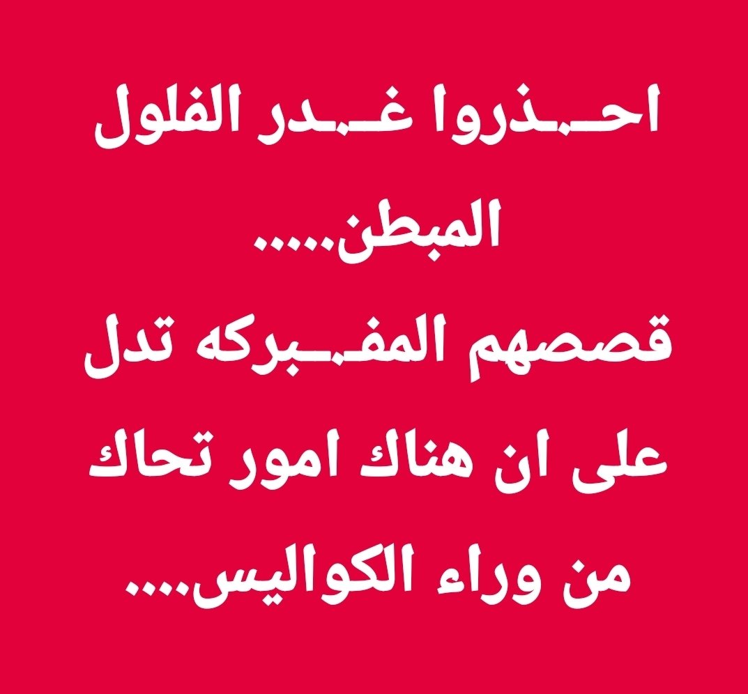 Lo Li tweet media