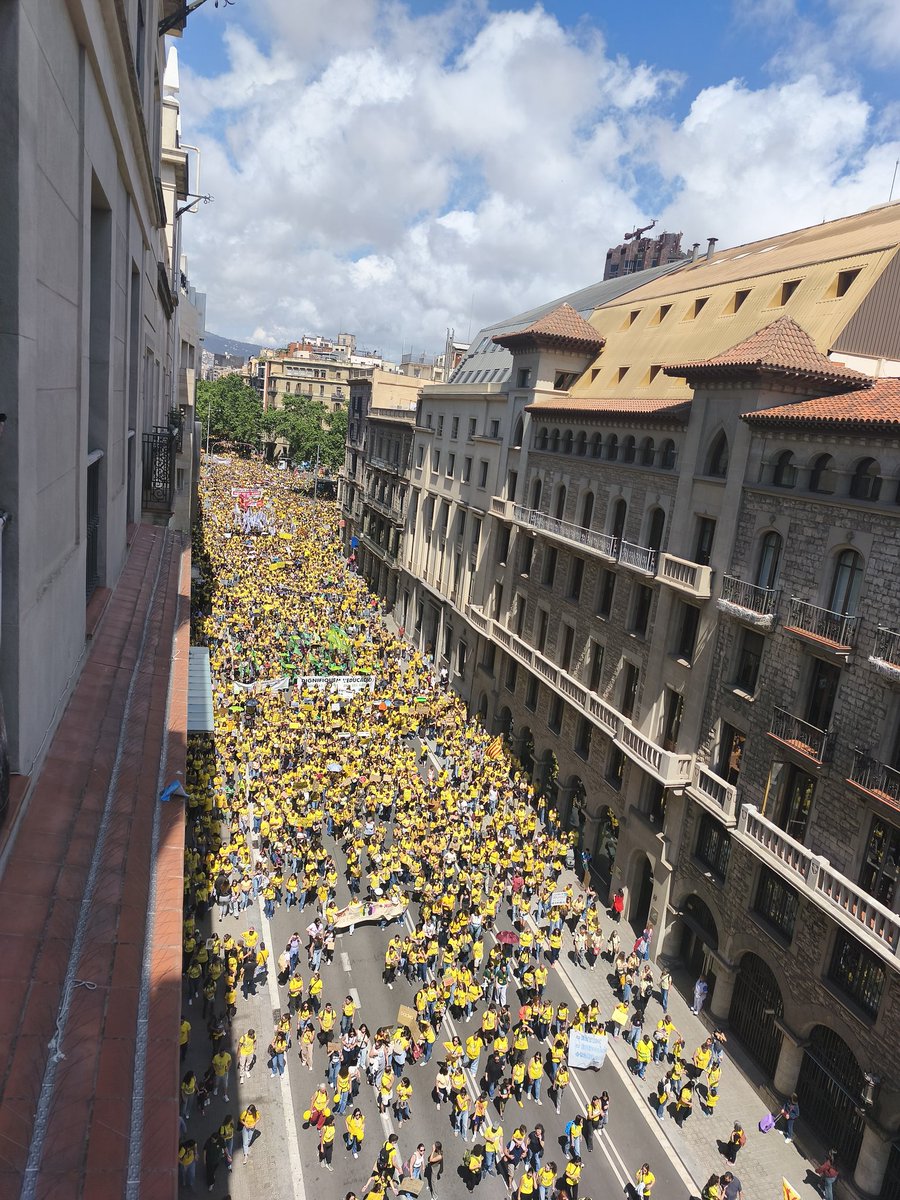 CNT Ensenyament tweet media