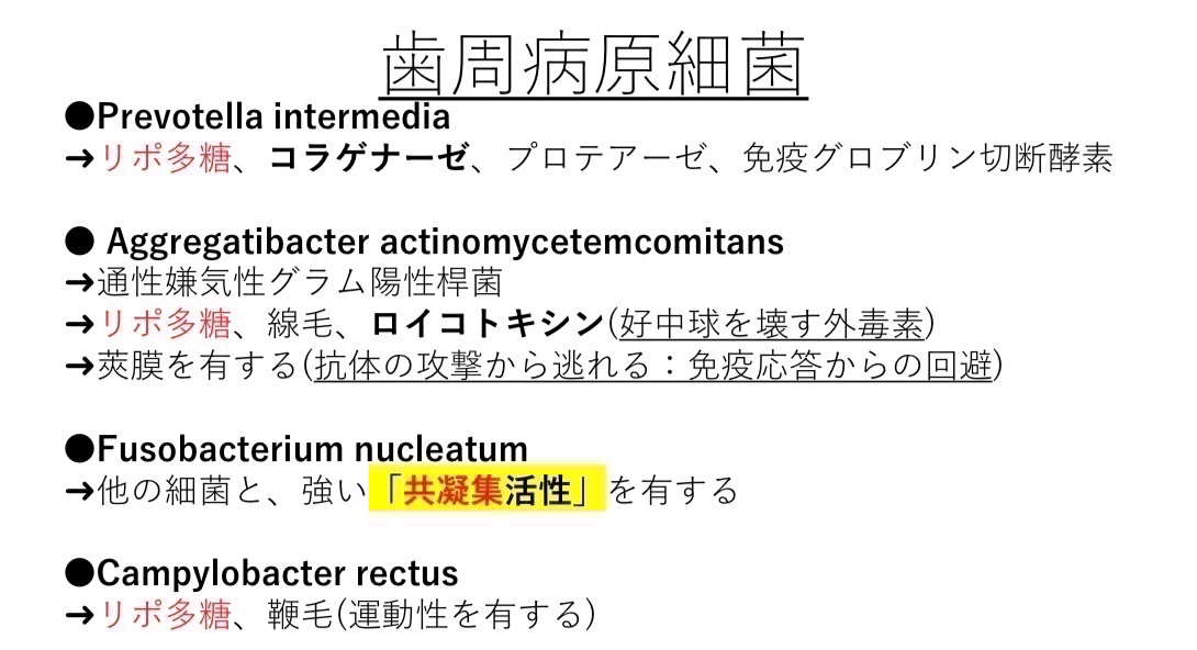 歯科医師国家試験対策 ロムニーハウス勉強会【講師 Dr.N
