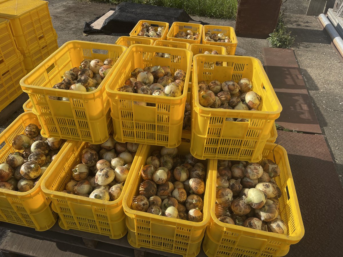 白子屋【株式会社白子縁】🐟🌊🌞 tweet media