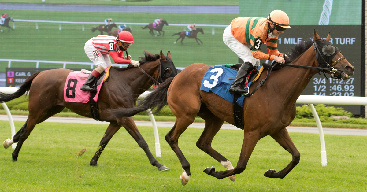 Canadian Thoroughbred tweet media