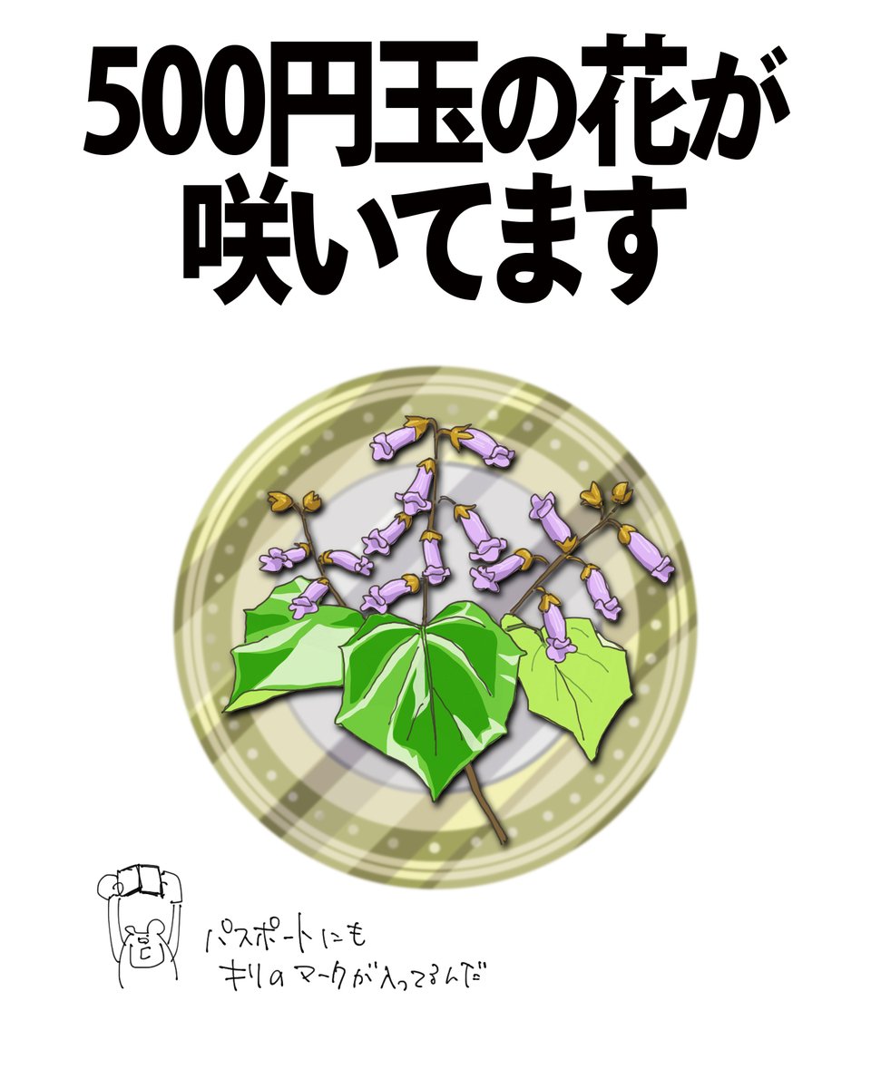 自然ガイドのネタ帳 tweet media