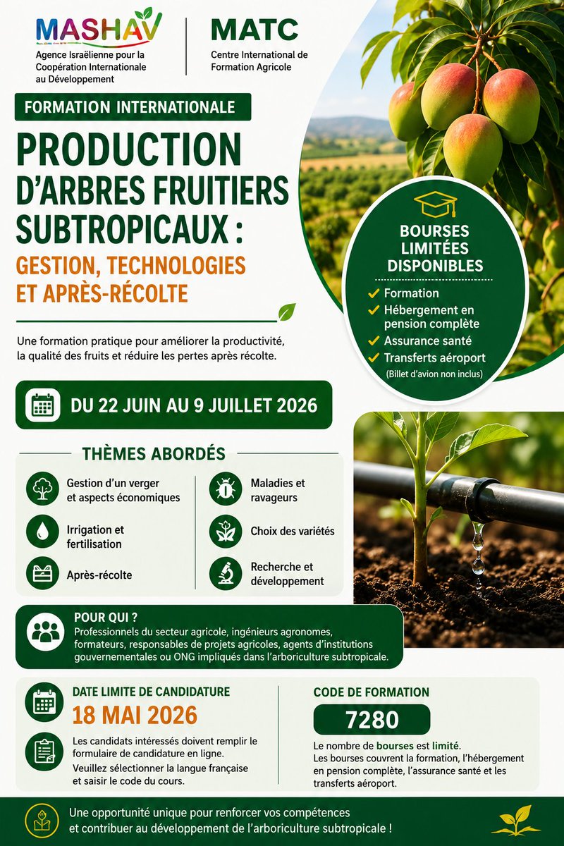 IsraelinCI's tweet photo. 🌱 OPPORTUNITÉ DE FORMATION EN ISRAËL 🌱
 MASHAV  organise une formation internationale sur la :
Production d’arbres fruitiers subtropicaux : gestion, technologies et après-récolte destinée aux professionnels du secteur agricole et de l’arboriculture.

📅 Du 22 juin au 9 juillet 2026
 
🎓 Bourses limitées disponibles (formation, hébergement et assurance inclus).

📌 Date limite de candidature : 18 mai 2026

🔗 Candidature :https://t.co/aSZka4yOAZ 
➡️ Code de formation : 7280