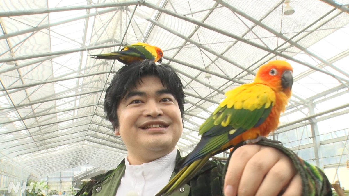 NHK PR tweet media