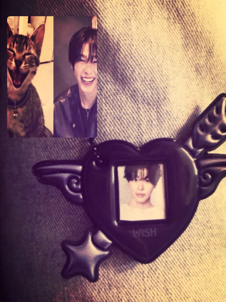 ♡ tweet media