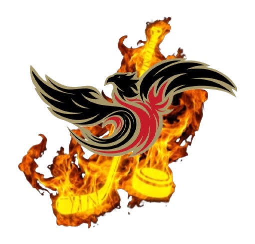 St. Alphonsa Catholic Elementary School tweet media