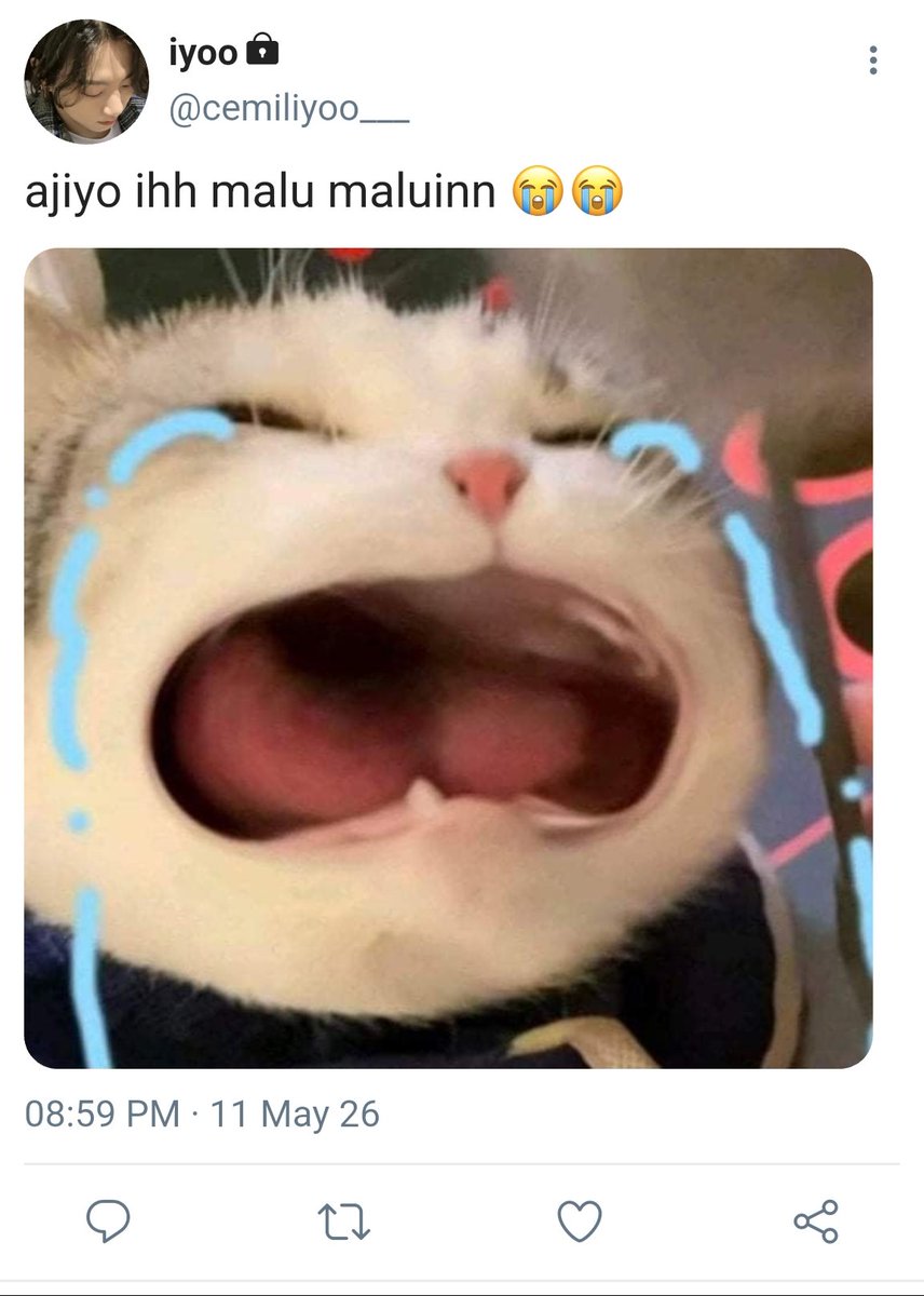 lǝɐɹ tweet media