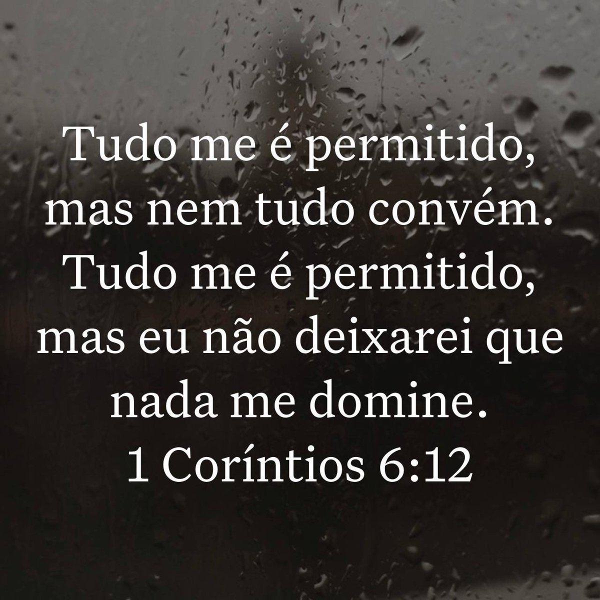 Marcus Vinícius tweet media