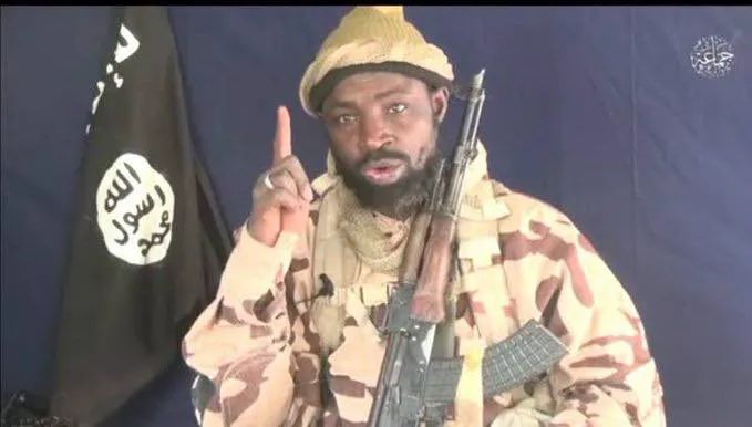 PATRIOTIC SOJA ($TSIR-MUNCHAN) tweet media