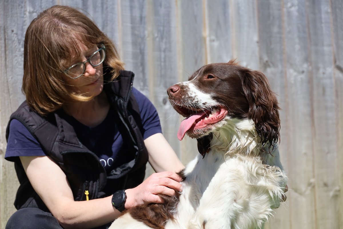 Dogs Trust Leeds tweet media