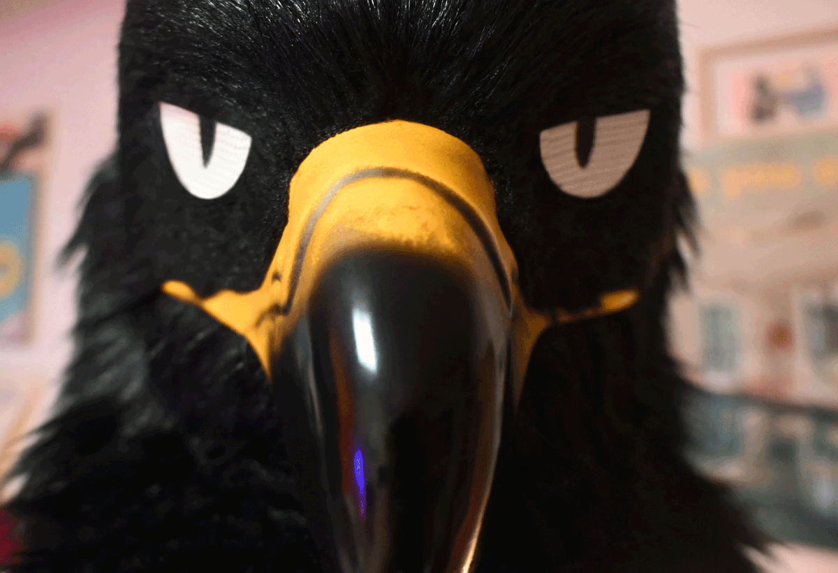TAN🦅 tweet media