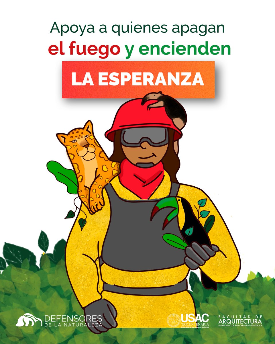 Defensores de la Naturaleza tweet media