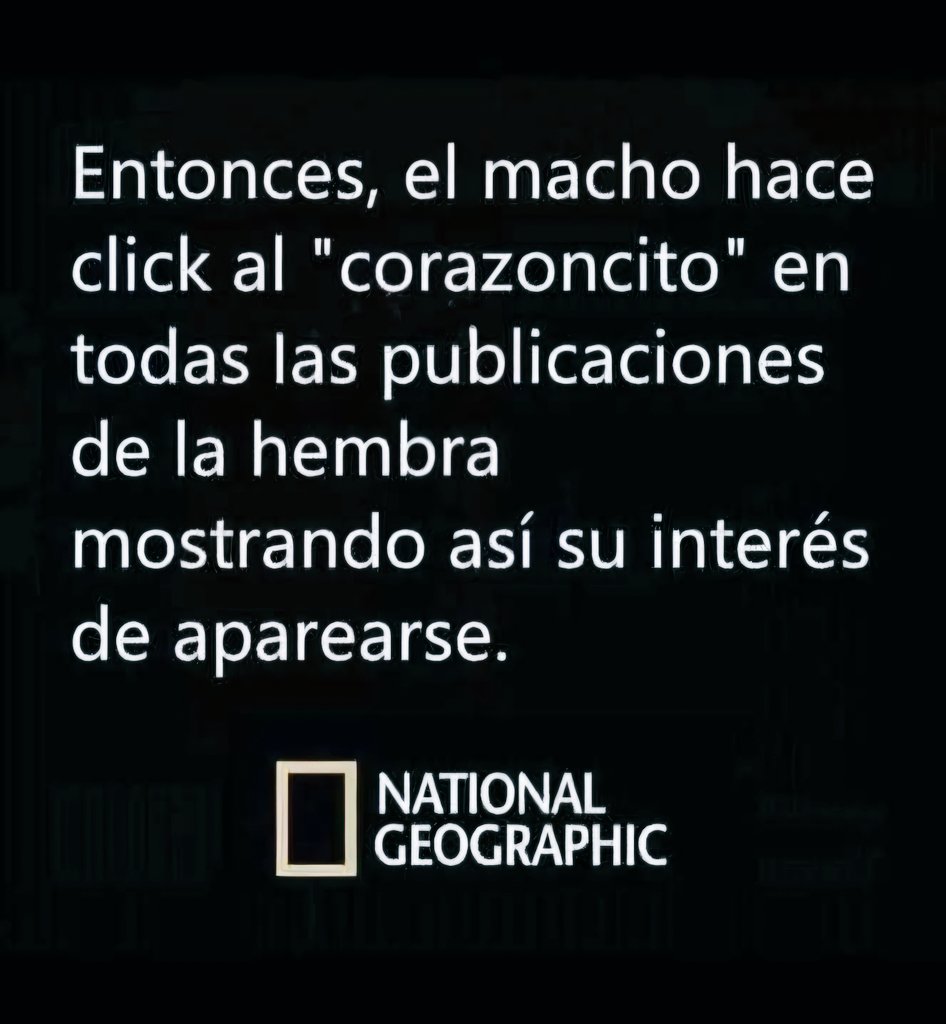 SIRENA +🔞 tweet media