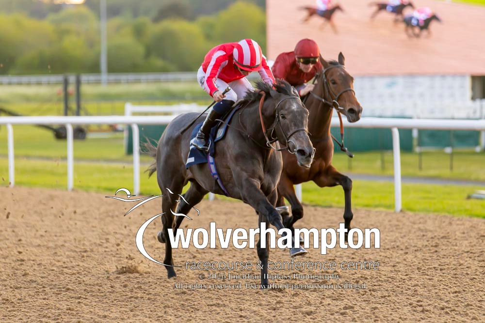 Wolverhampton Races tweet media