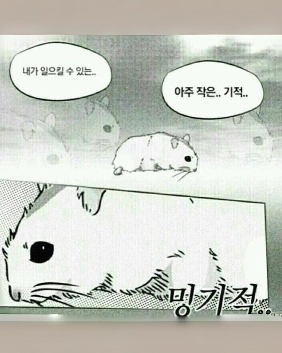 박하 tweet media