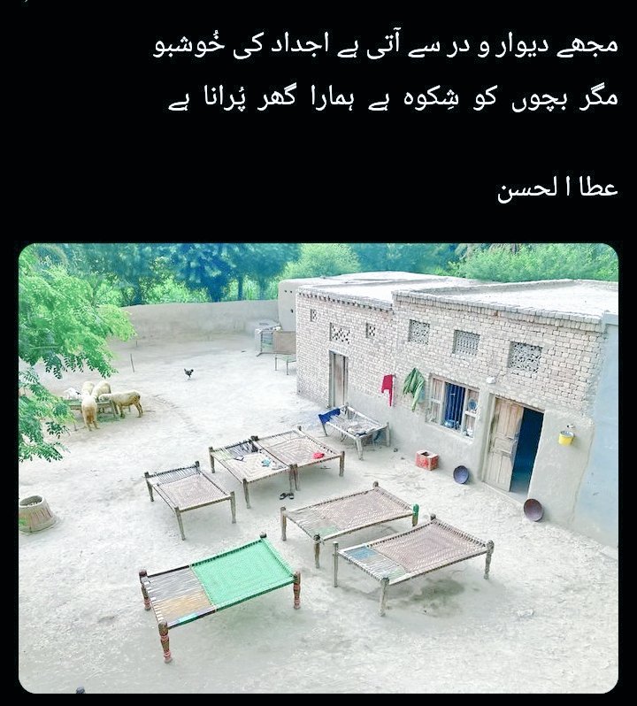 LaLa Shani tweet media