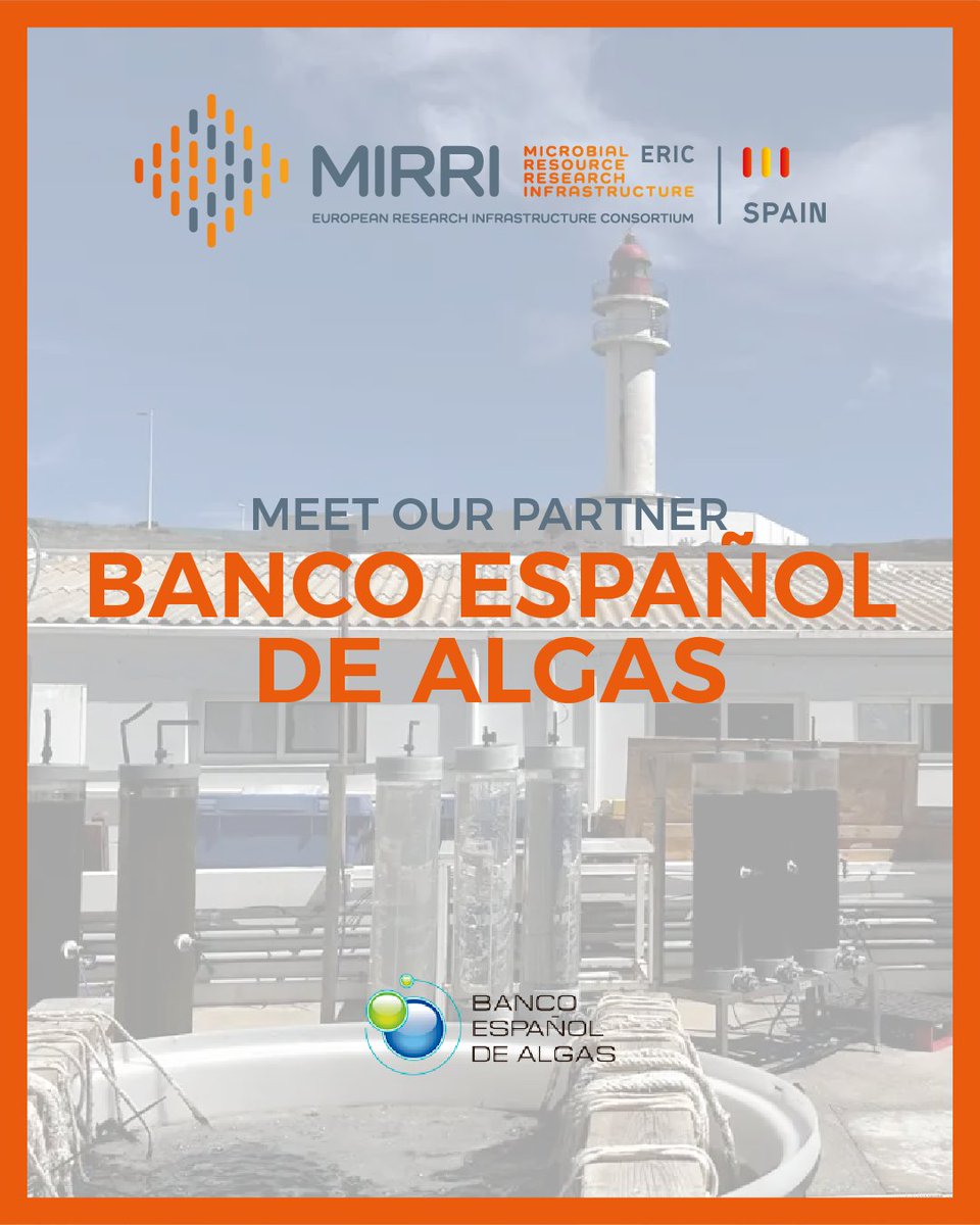 MIRRI_ES's tweet photo. #BEA, where algae shape the future.

🔬 For over 35 years, transforming microalgae into knowledge, innovation and sustainability.

@BEA_ULPGC #Algae #Microalgae #Biotechnology #BlueBiotech #MIRRI https://t.co/IA07Le7Ruu