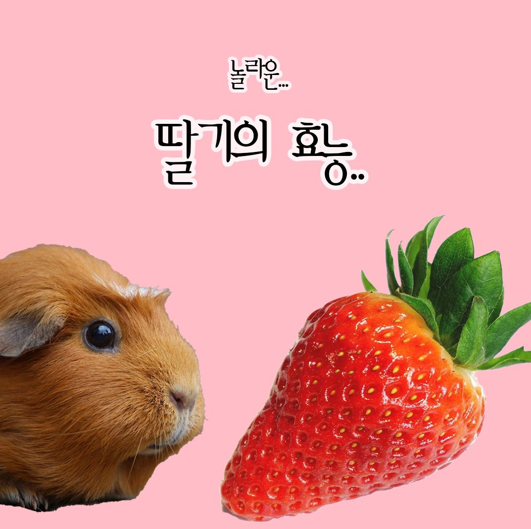 퍼깍소 부코 양일 CK_07 tweet media