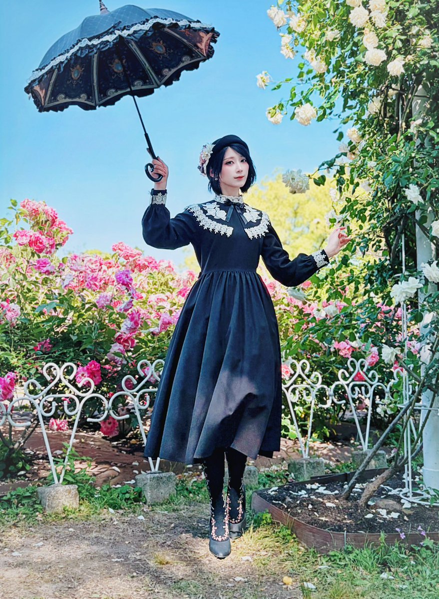 白菊 (@sironokiku_) / Posts / X