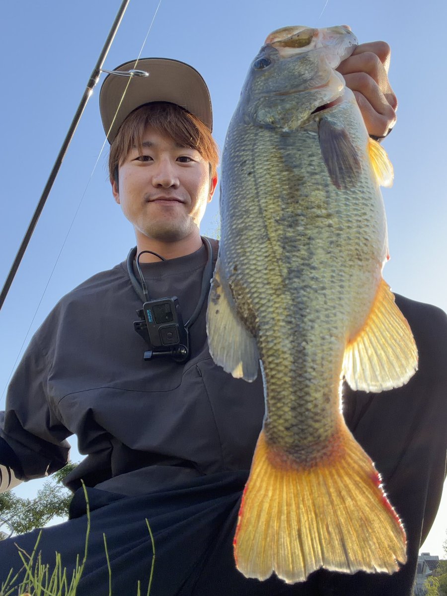 あ き と 〈 遠藤 晟大 〉 tweet media