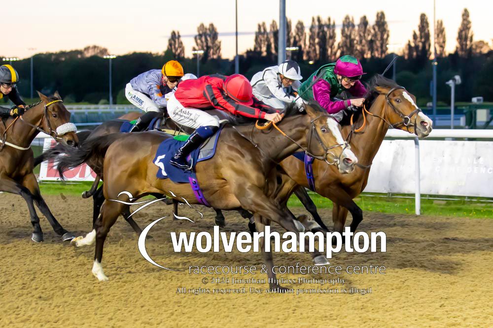 Wolverhampton Races tweet media
