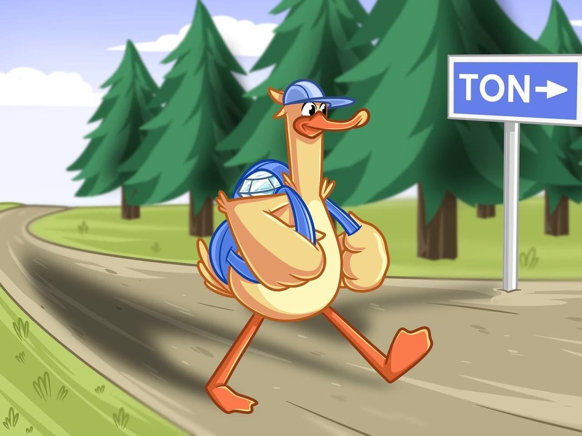 Tony McDuck tweet media