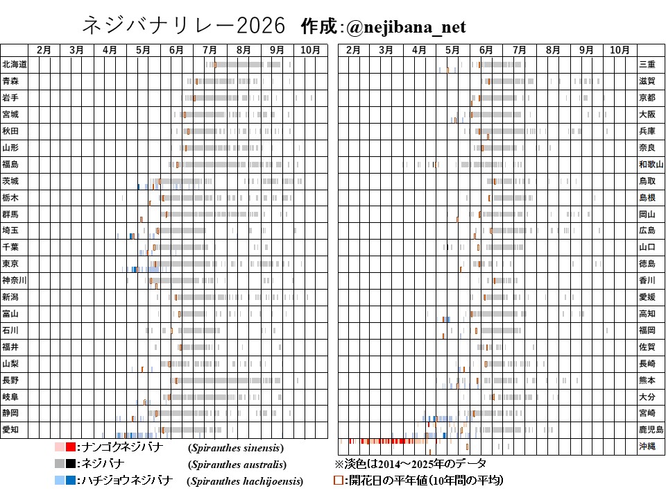 nejibana_net's tweet photo. 【拡散希望】ネジバナリレー2026を更新しました【5/12】
ネジバナやナンゴクネジバナ、ハチジョウネジバナ等の花を見かけたら、花の写真と撮影日、撮影した区市町村名、#ネジバナリレー2026 を付けて投稿してください。DMでのやりとりも可能です。 https://t.co/1L77OA4ffL