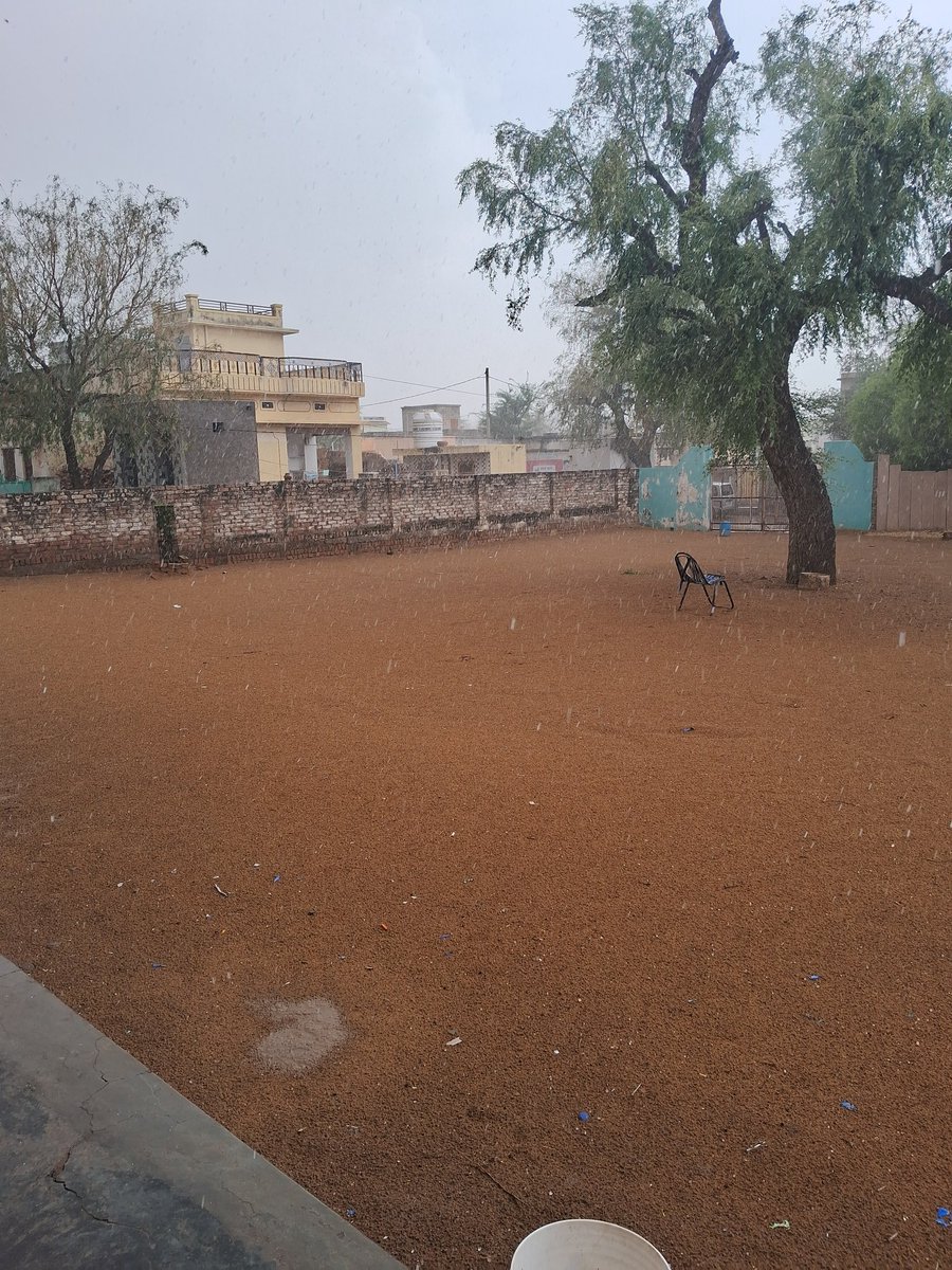 Aruna Mahil tweet media