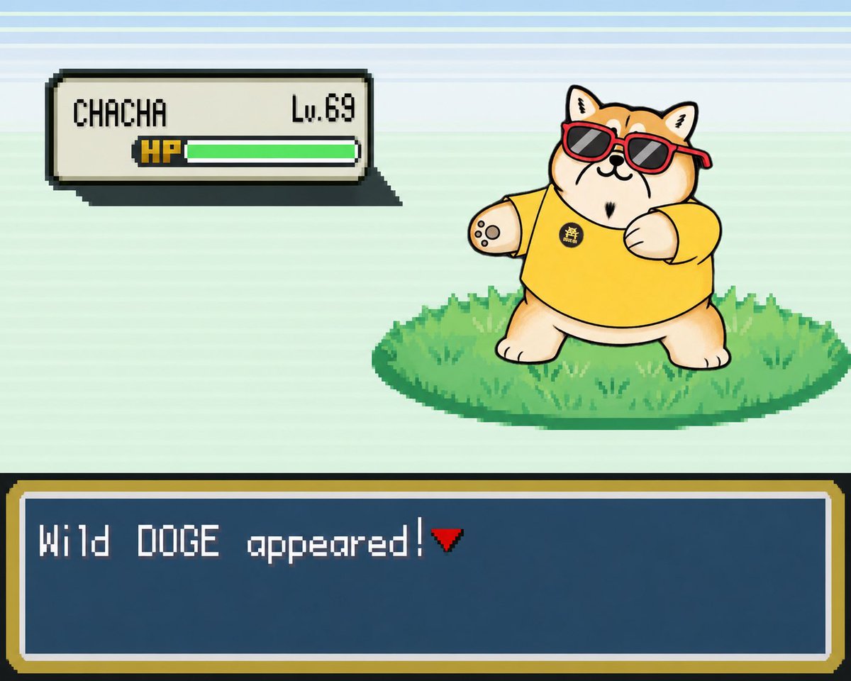 DOGE-OH tweet media