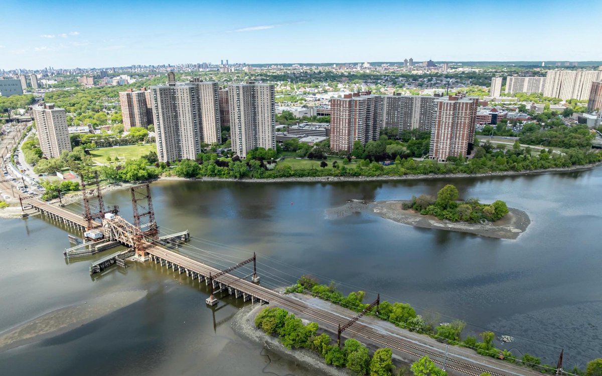 FromTheBronx tweet media