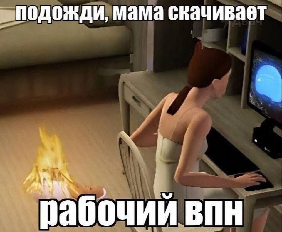 Двач tweet media