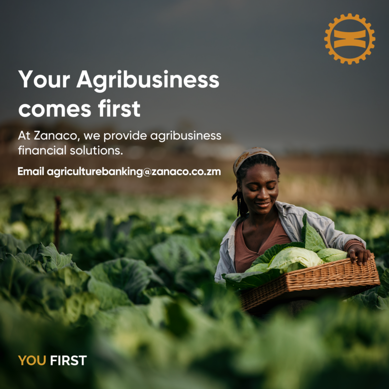 zanacoplc's tweet photo. At Zanaco, provide agriculture financial solutions. Email agricultureBanking@Zanaco.co.zm
#YouFirst #ZambiaFirst https://t.co/W7u6BKYWYf