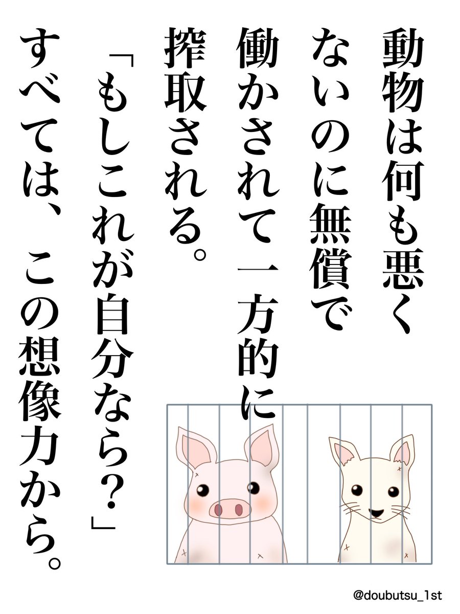 すべての動物に権利を tweet media