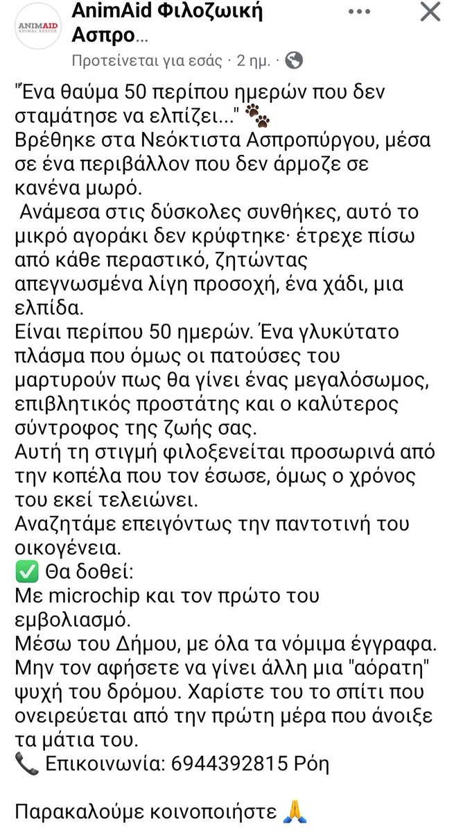 Χλε_Μπονα Σαμερ tweet media