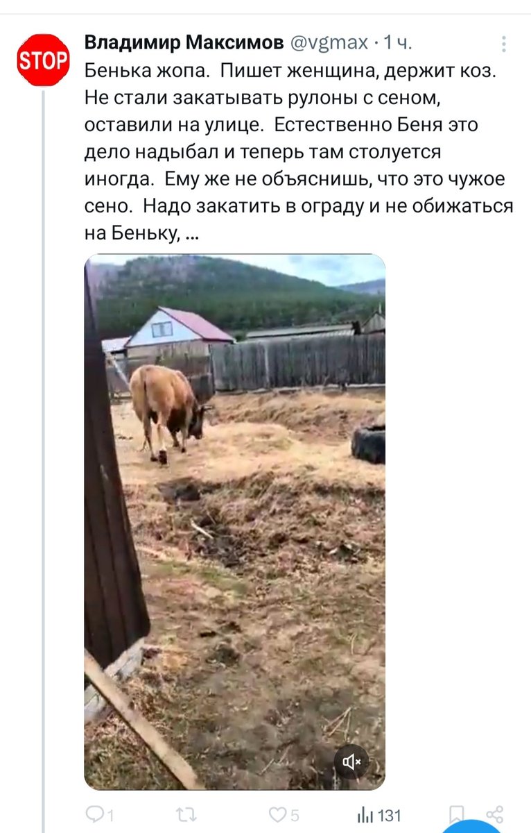 Велоговорун tweet media
