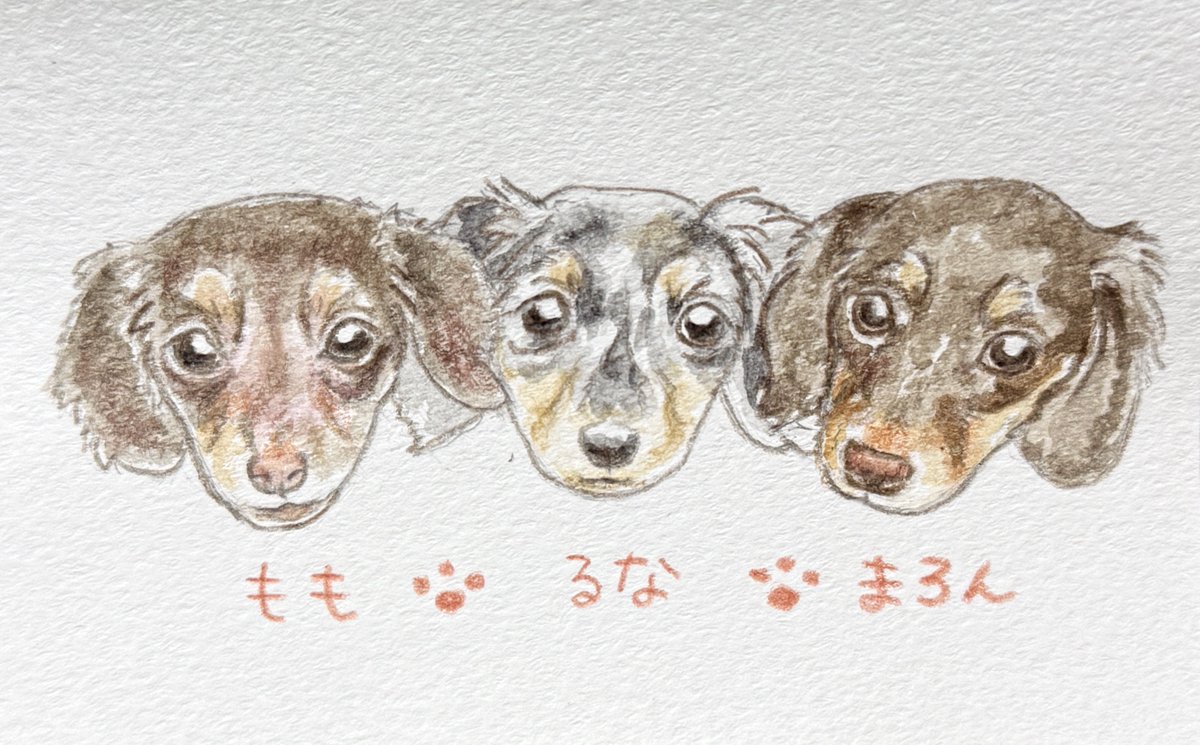 amai_49's tweet photo. ももちゃん＆るなちゃん＆まろんちゃん
を描かせていただきました🐶💓

3びきも対応可能となりました🙆‍♀️✨

 #犬好きさんと繋がりたい  #まいペット  #ペット似顔絵  #うちのこグッズ https://t.co/ja5xtWaqY9