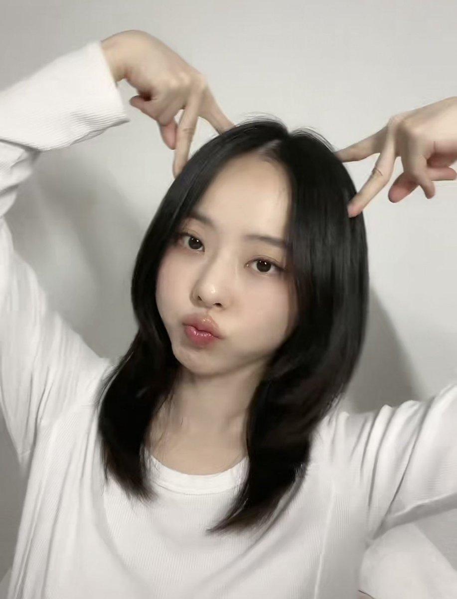 vivi folder tweet media