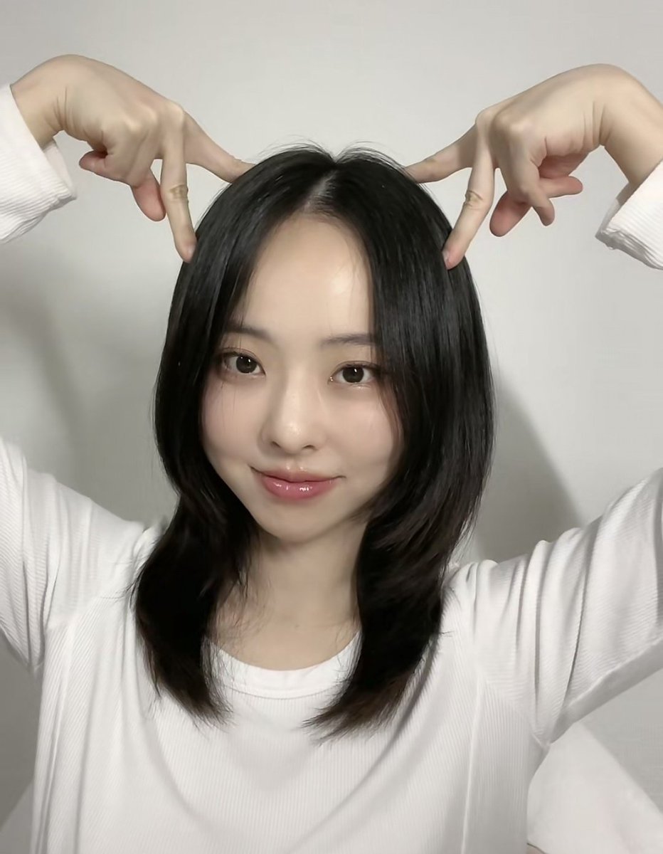 vivi folder tweet media